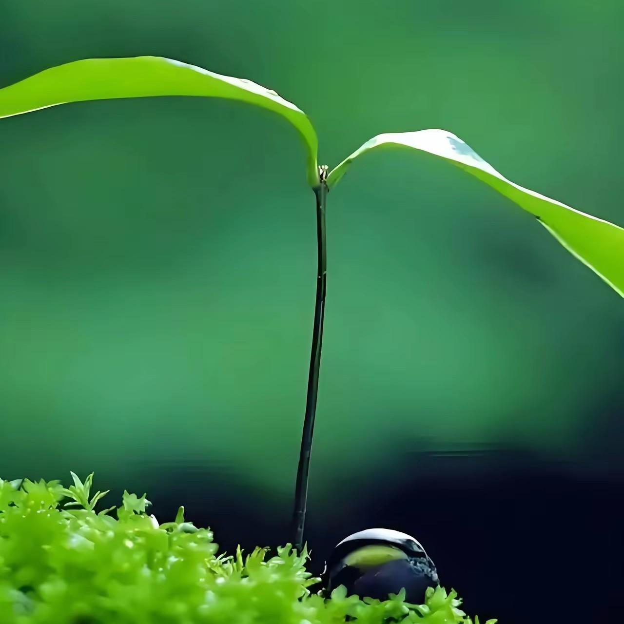 同事突然想开了，也不再逼自己干到最好，差不多就行了
今年他有一段时间身体不舒服，