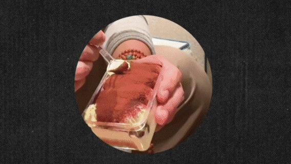 黄景瑜被甜品打了 当硬汉的味蕾遭遇甜品界的“内卷冠军”，再强的表情管理也瞬间破功