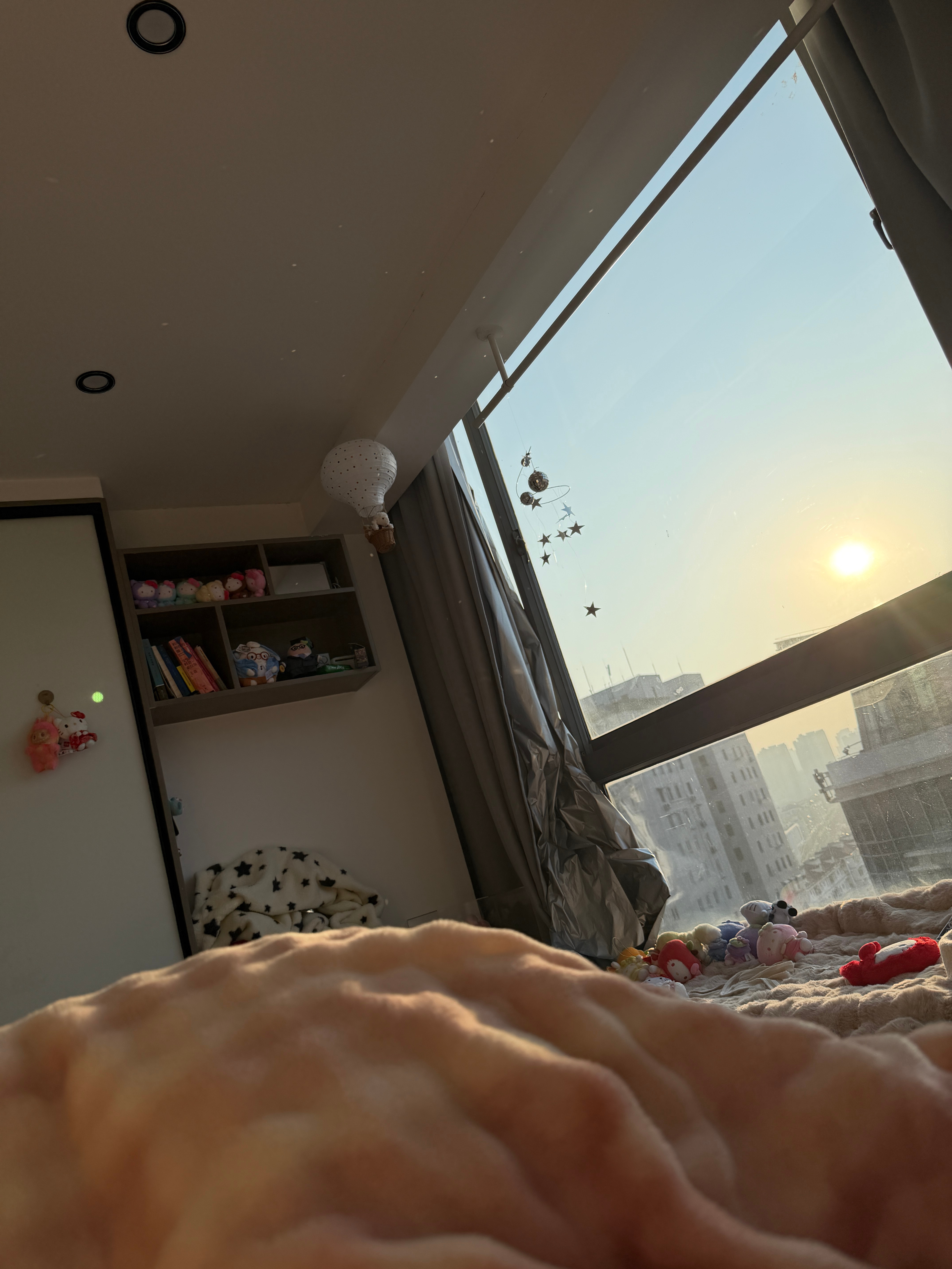 搬家以后还没在家无所事事的躺过好舒适  一边晒太阳 一边补上了能让搬家师傅加薪的