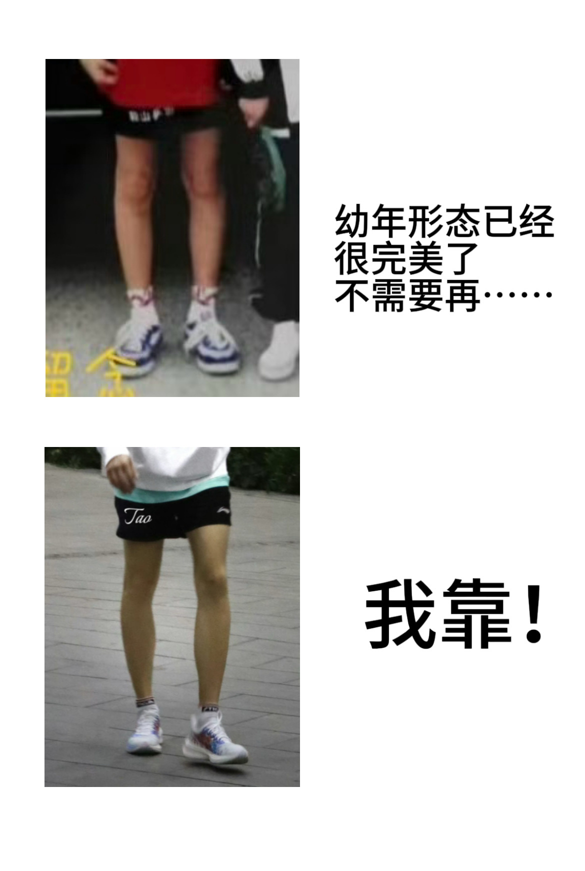 这个梗理应有独立腿格 