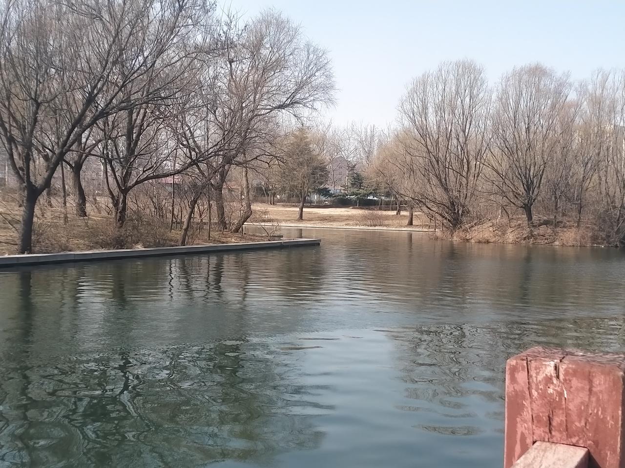 打卡地标公交太方便了👏