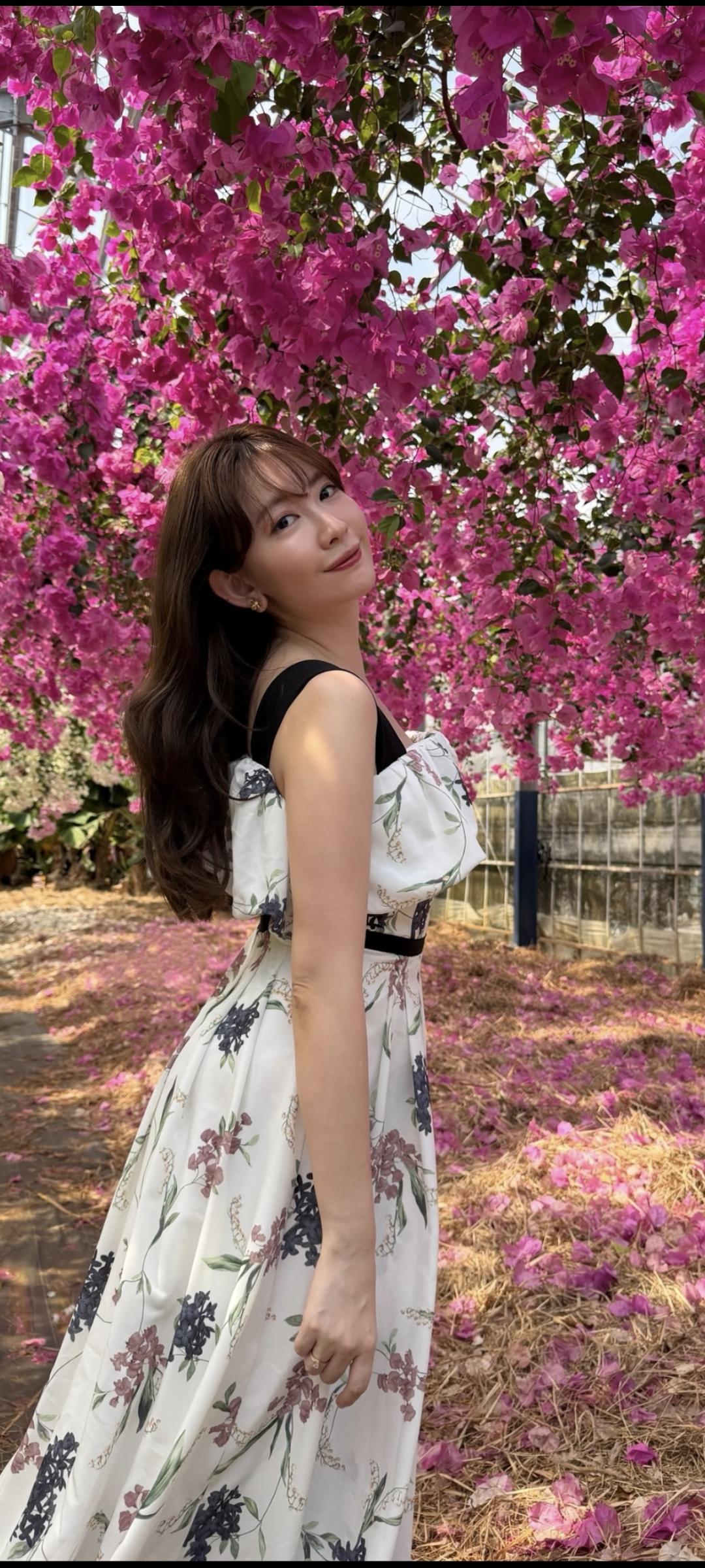 美丽的小嶋阳菜——美图集355