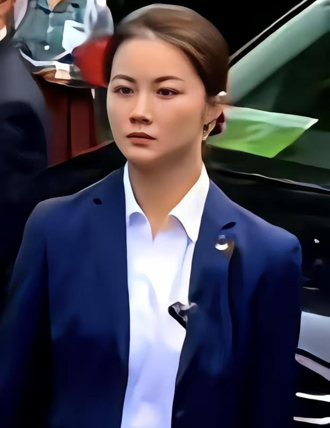 郑丽文从大陆回去后，在节目里絮絮叨叨念叨的，居然不是什么大好河山，而是大陆的安保