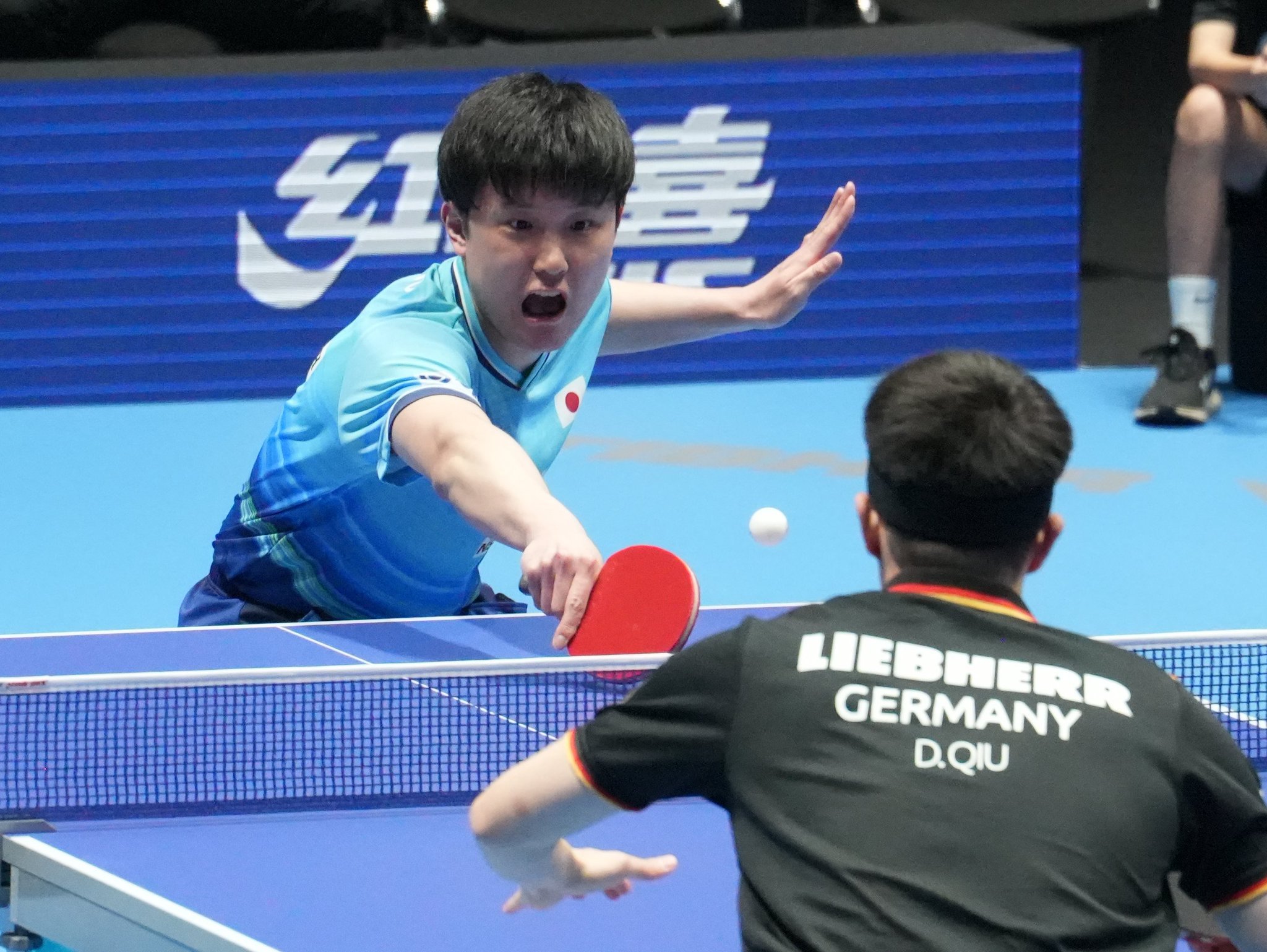 张本智和张本智和2026年伦敦世乒赛新闻报道 20260503世乒赛：日本男队首