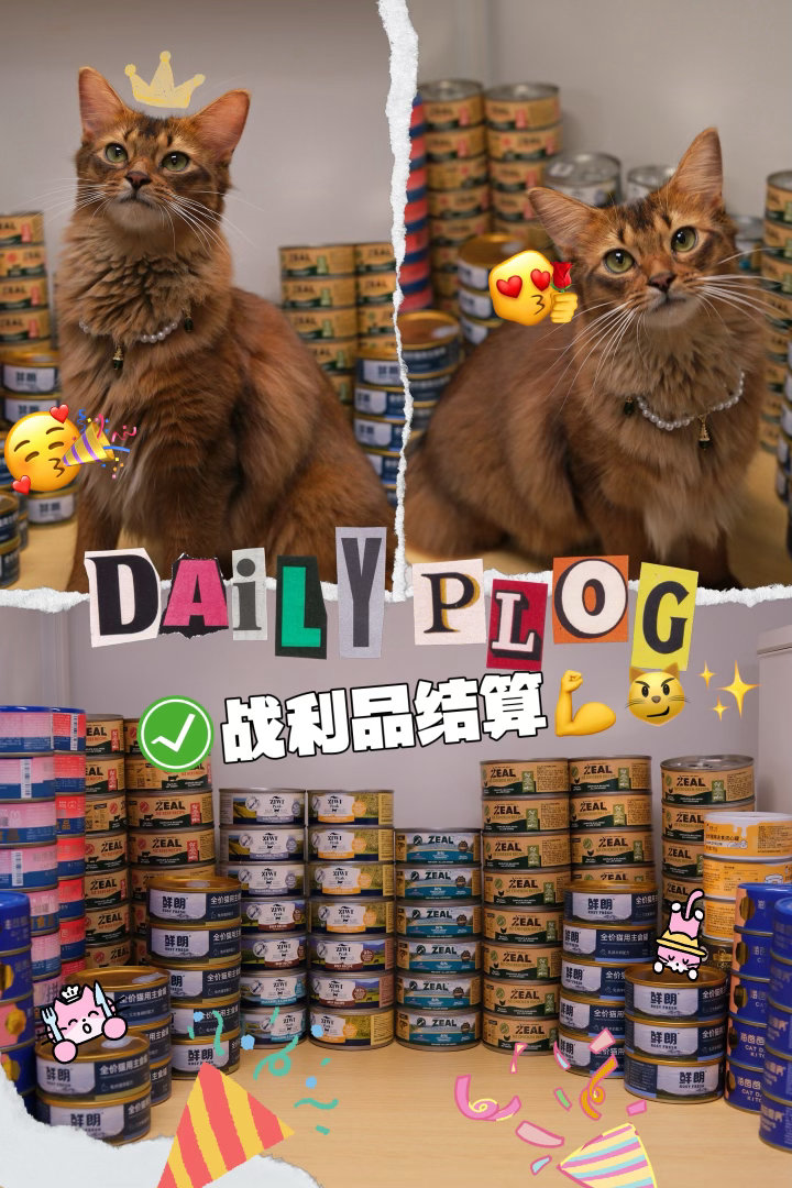 把九妹拍广告赚的酬劳全都换成了她的罐罐 我真是惊呆了，小孩一天赚得跟我差不多……