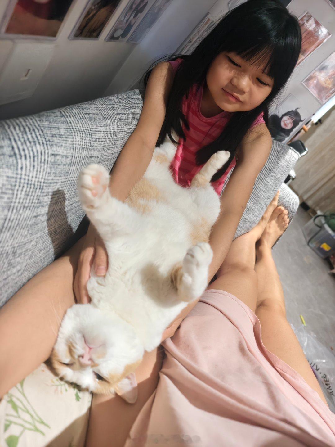 小鹦鹉被鸡啄伤了一只眼睛