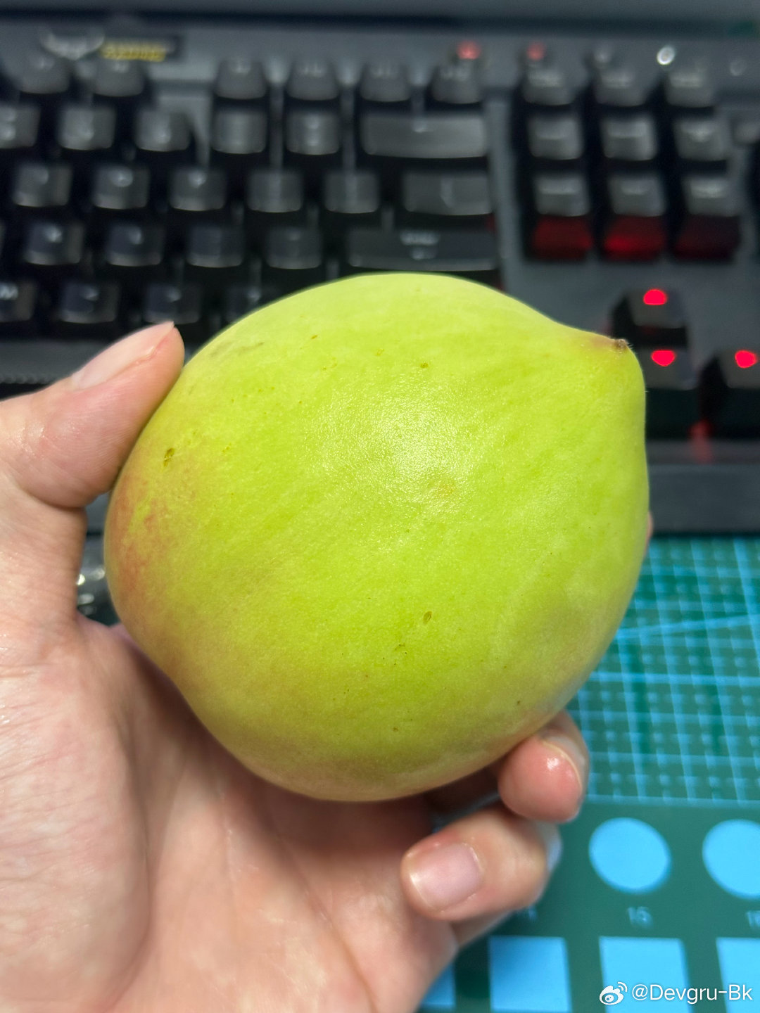 今年的鹰嘴桃给我吃爽了 