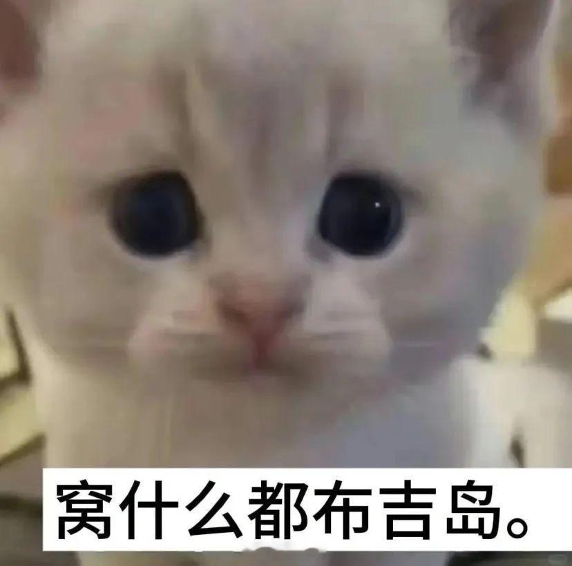 地球online穿模了 这一秒里，有人在修复被破坏的植被模型，有人在给濒危物种打