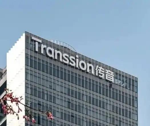 没想到在国内存在感较低的传音手机，在国外却混得风生水起。

2020年————传