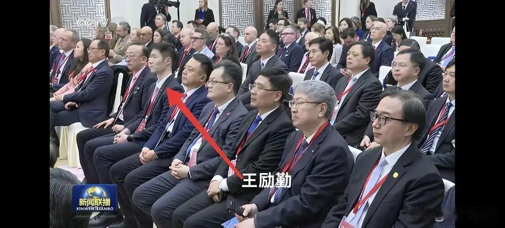 王励勤坐在中英联合商务会议席上，有的人，有些极端黑粉酸辣粉似的不淡定了，什么那不