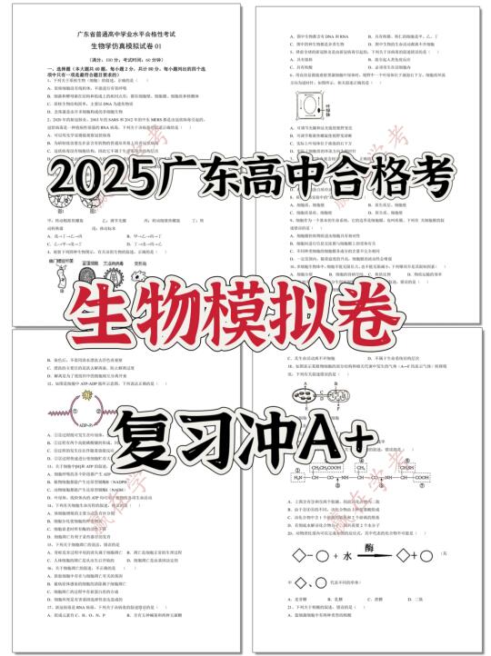 25广东合格考|生物模拟卷！复习冲A+
