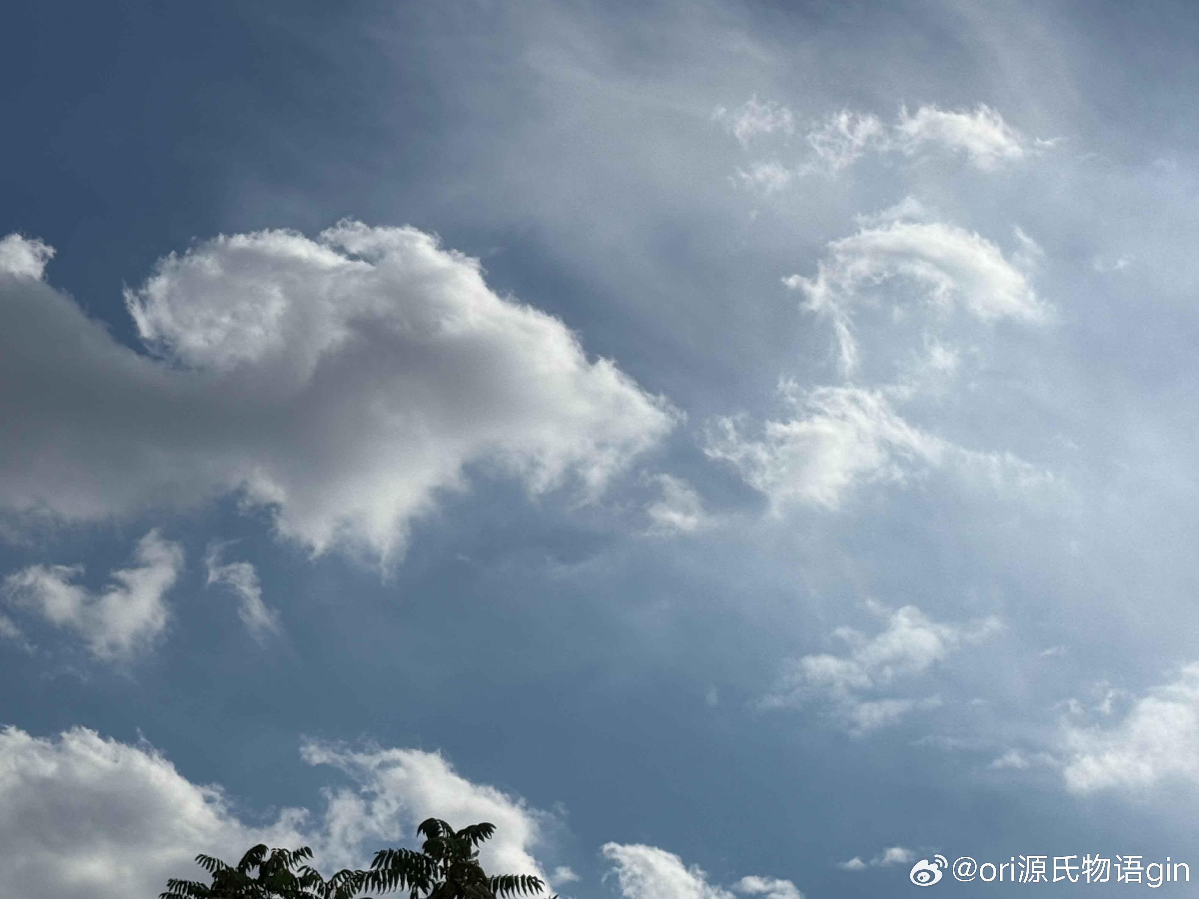 如果现在北京这个天气能紧接着直接立秋就好了一天天家里不开空调比开了都凉快 天上全