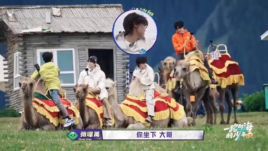 张极的骆驼疯了慌的是张泽禹沙漠之行意外不断，暴躁骆驼突然发起口水攻击，张泽禹猝不