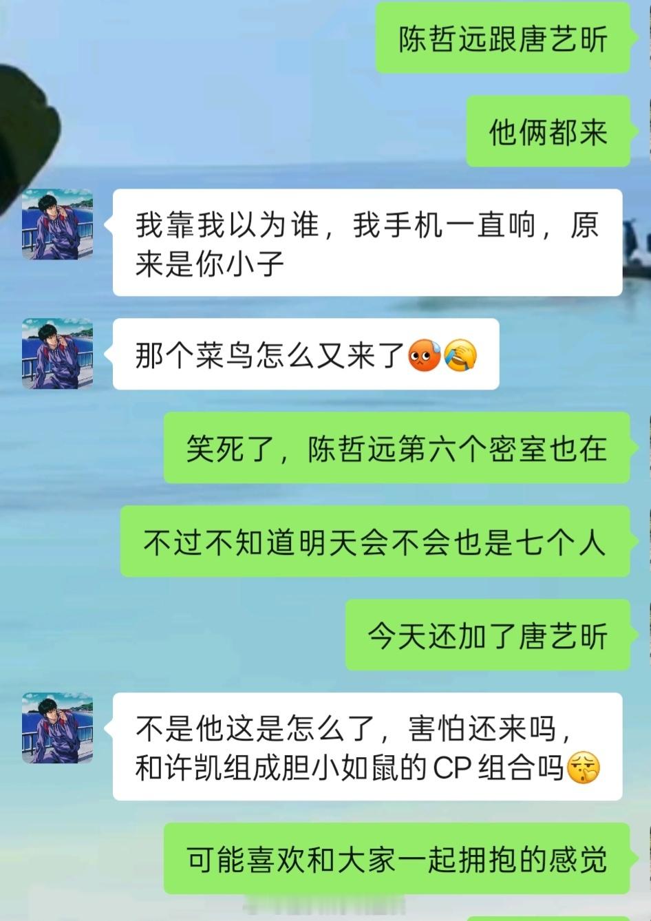 我哥管陈哲远喊菜鸟说陈哲远和许凯是胆小如鼠cp组合偶不行了偶笑的好难受、、 