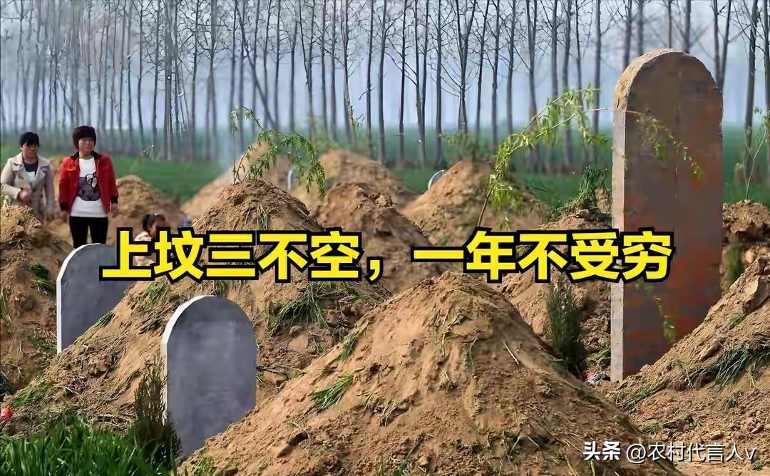 4月5日清明，老人说“上坟三不空，一年不受穷”，三不空指啥？
 
“清明上坟有讲