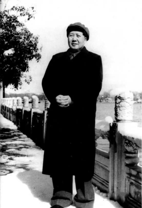 毛主席真实身高是多少？民间有1.72米，1.77米，1.83米不同说法。贴身警卫