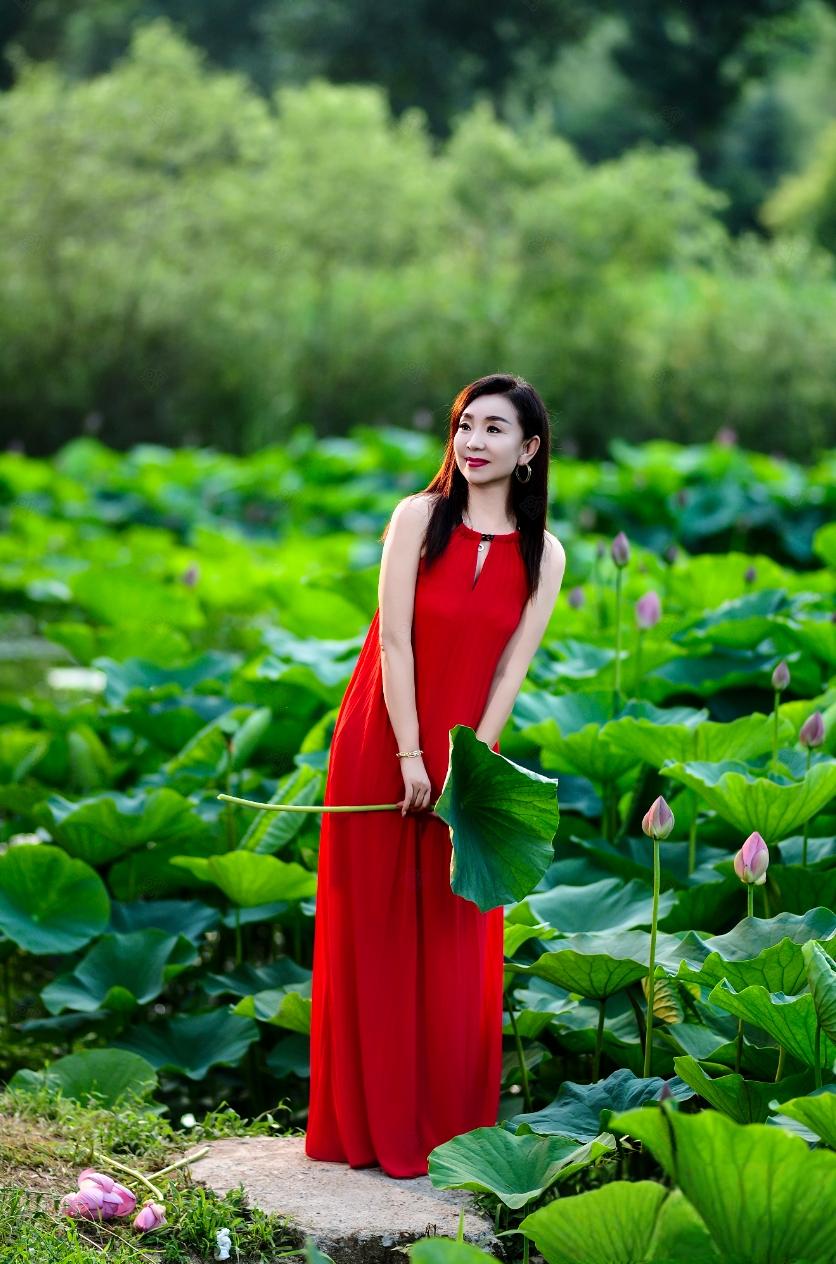 夏日生活打卡季 夏日荷塘红裙仙子，惊艳一瞥