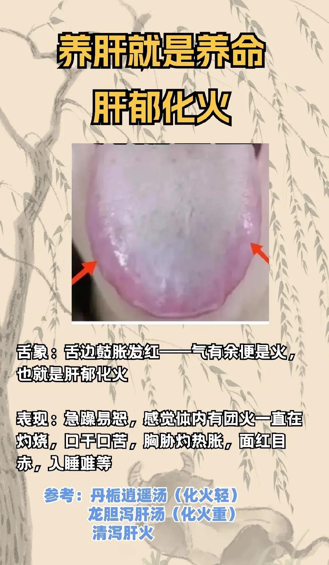 你知道吗？养肝其实就是在养命！中医认为，肝脏的健康与人体整体健康息息相关。今天，