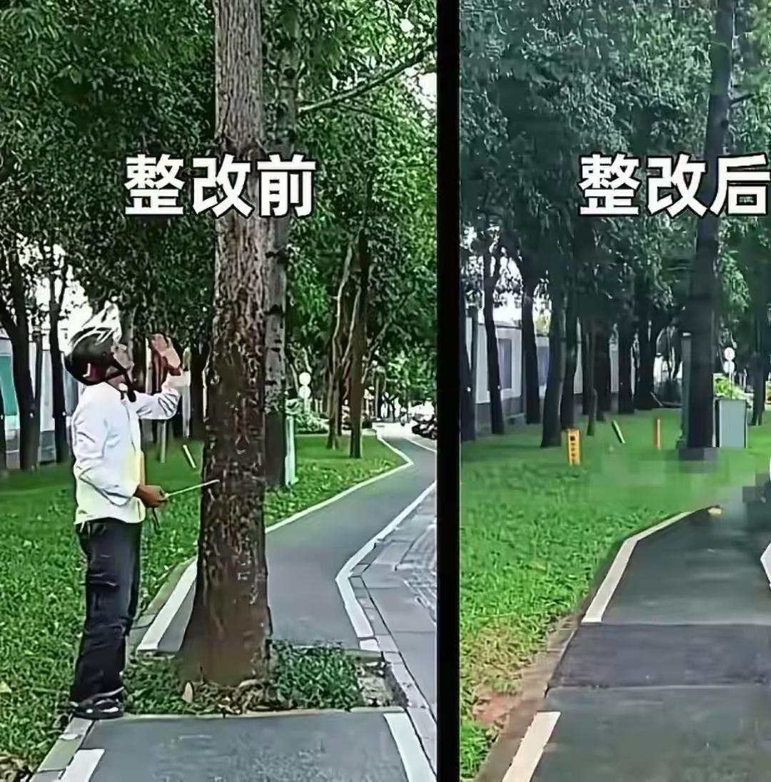 最近，深圳的一位小哥突然走红网络。两年来，这位小哥带着一把卷尺，每天穿梭在深圳大