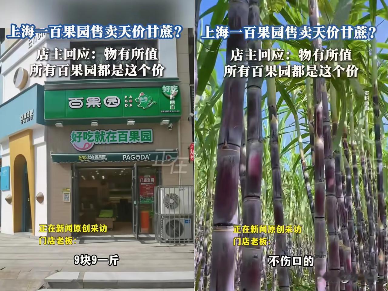 “贵有贵的道理？”

上海一女子可被一根甘蔗“惊”到了！

让孩子去买甘蔗，到手