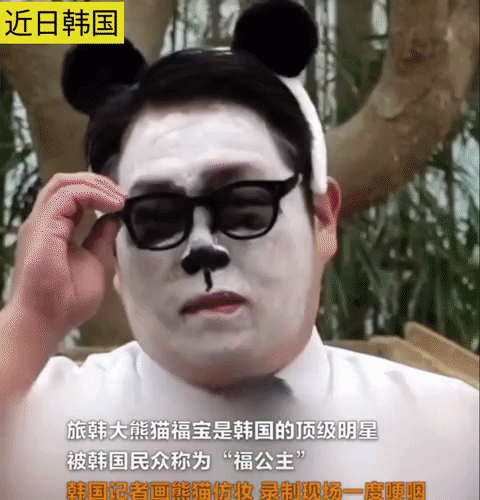 旅韩大熊猫福宝归国日程公布后，韩国爱宝乐园每日游客超过8000人次，排队需要4小