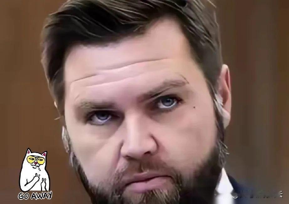 美国政坛刚有一点风声，立刻引发全球关注，不少人还没搞明白角色转换背后的戏码。万斯