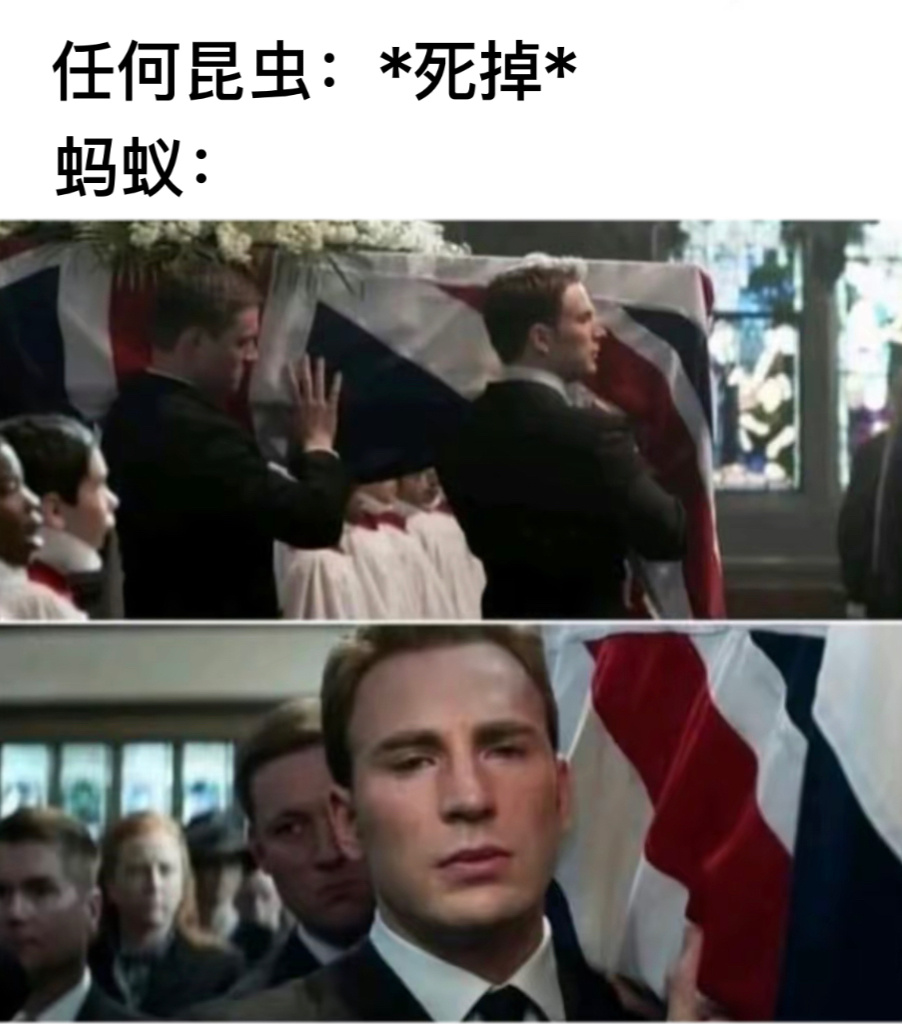 一路走好#今日memes##我的幽默搭子##定格# ​​​