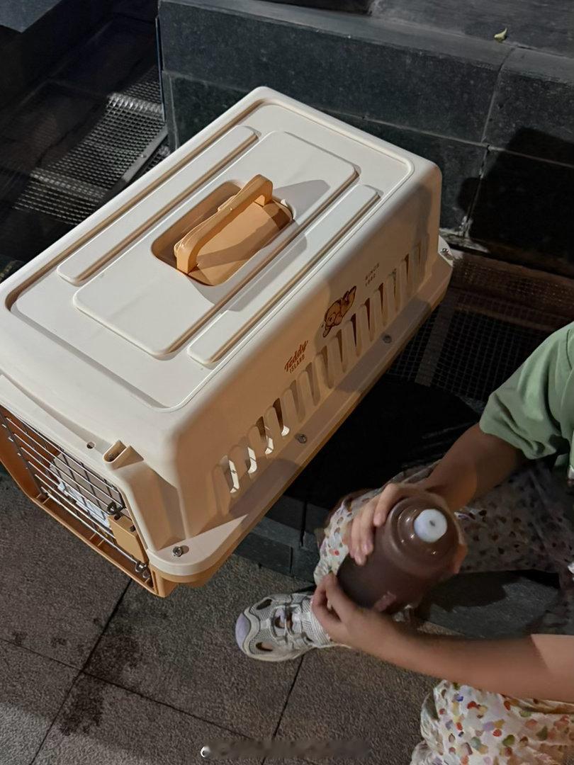 受不了团哥脑回路我俩带给给去医院等出租车他说感觉给给有点害怕然后一屁股坐在了航空