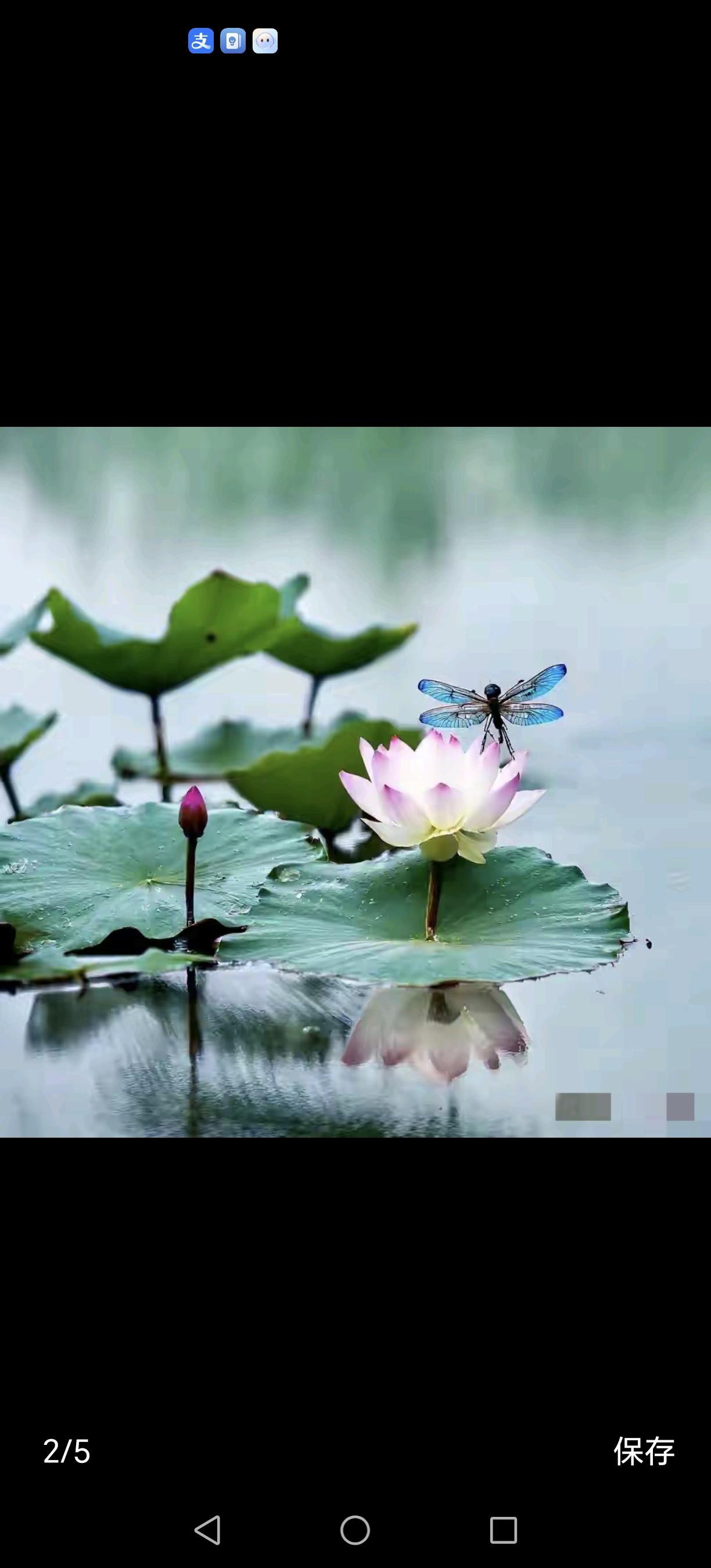 心灵旅行者，总是在漂泊与归途之间穿梭，穿越无数的风景和故事。人生如一场长长的旅程