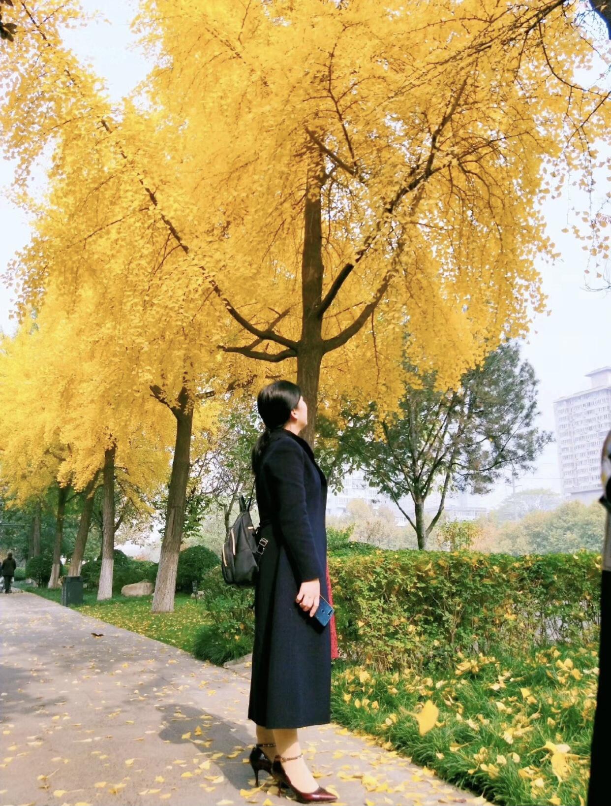 我的今日状态：😁轻松愉快
我这里的天气：☀️晴天