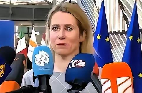 欧盟的“地平线欧洲”计划，在人工智能、量子技术等五大关键科研赛道上直接把中国排除