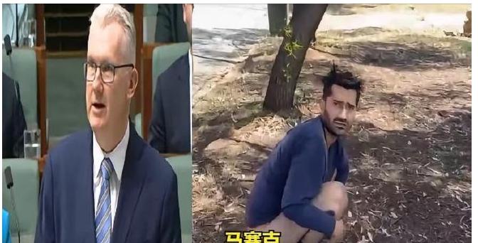 澳大利亚街头又出“传奇名场面”！一位印度籍男子在公路边树下拉屎被路人看到。这场不