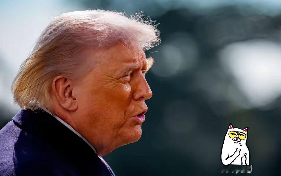 伊朗关闭霍尔木兹海峡后，特朗普最新发声吓死人！
特朗普：伊朗敢毁约，就打一场前所