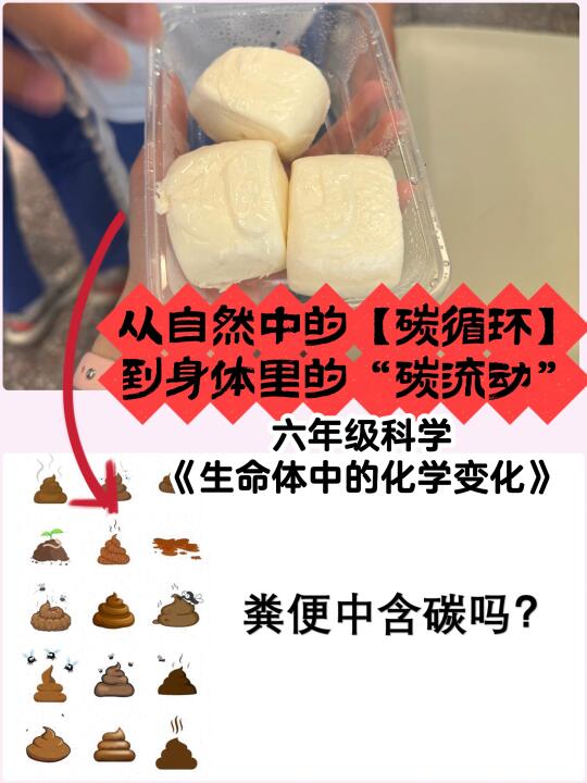 我们都是碳循环参与者，我们都是【碳基生物】！