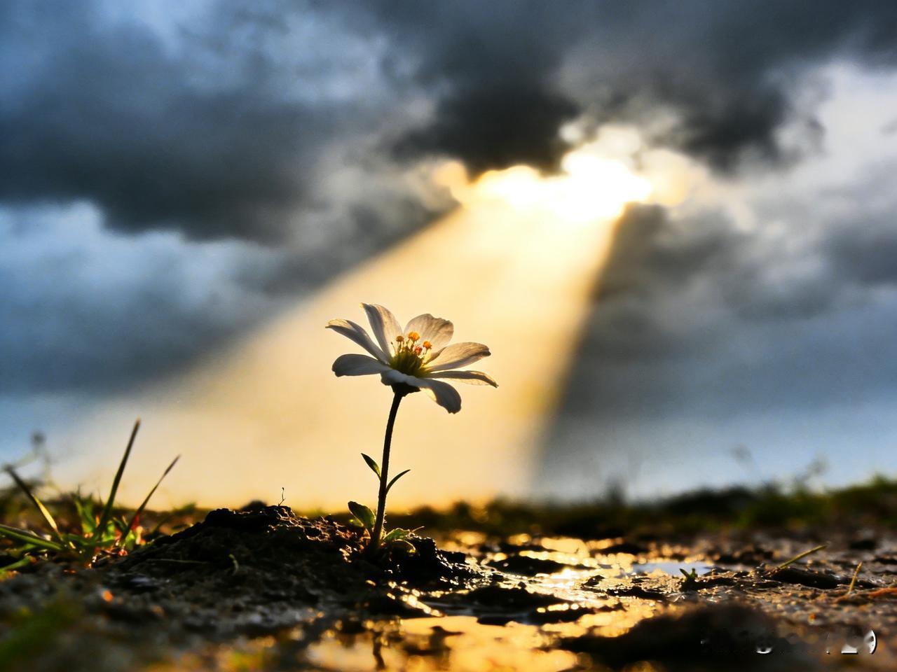 身边有个朋友，不管什么时候见到他，总是嘻嘻哈哈，一脸轻松自在。
 
有天我忍不住