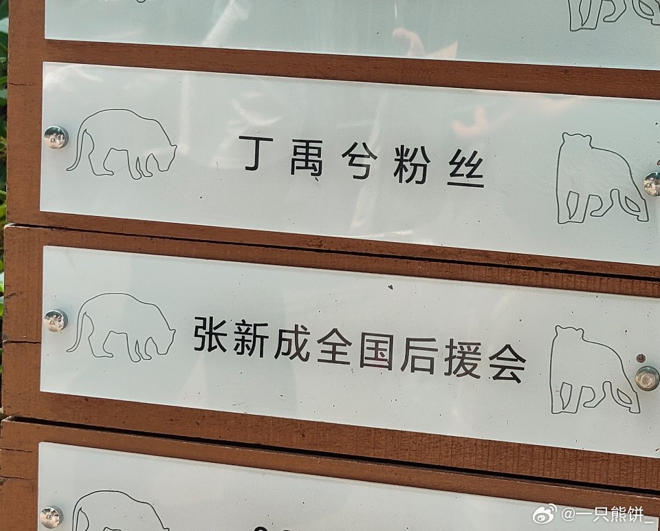 他们俩怎么会来 