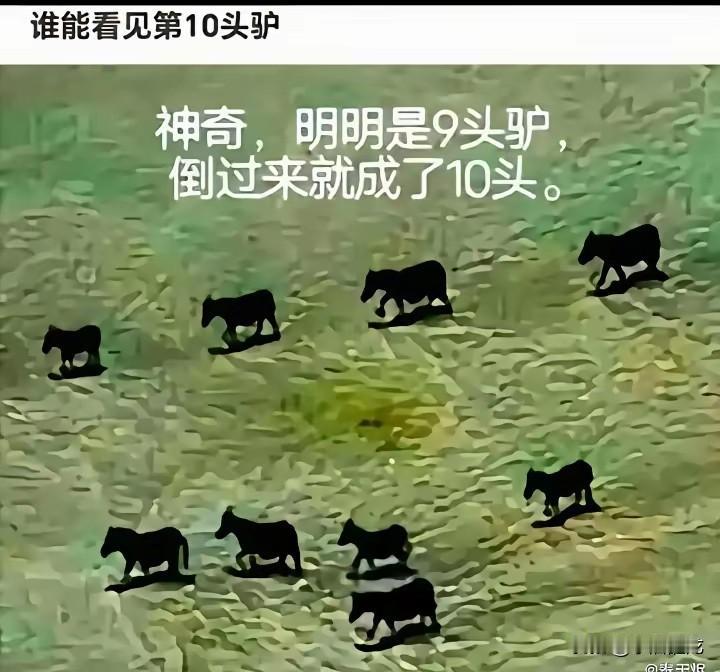 依我个人二十多年职场见闻，我对老实人没有什么好感，因为老实人对大家来说是一点用都