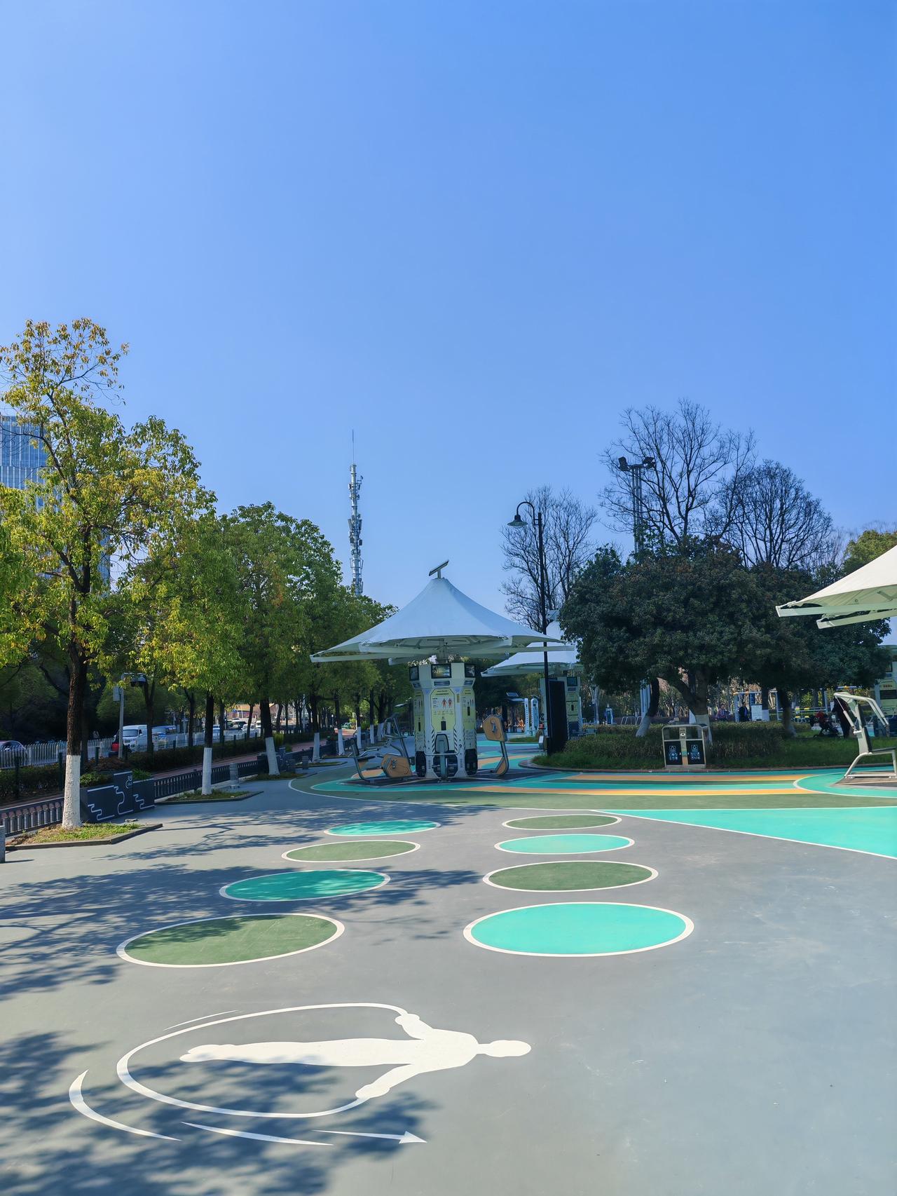 之前沙湖公园B区升级改造，沿湖步道有了塑胶跑道，沙湖大道御湖园附近还新增了AI智