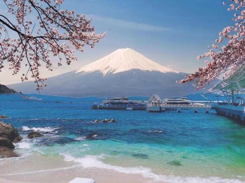 日本旅游消费股遭遇“黑色周一”，这背后全是日本政客作妖的结果。11月7日，日本首