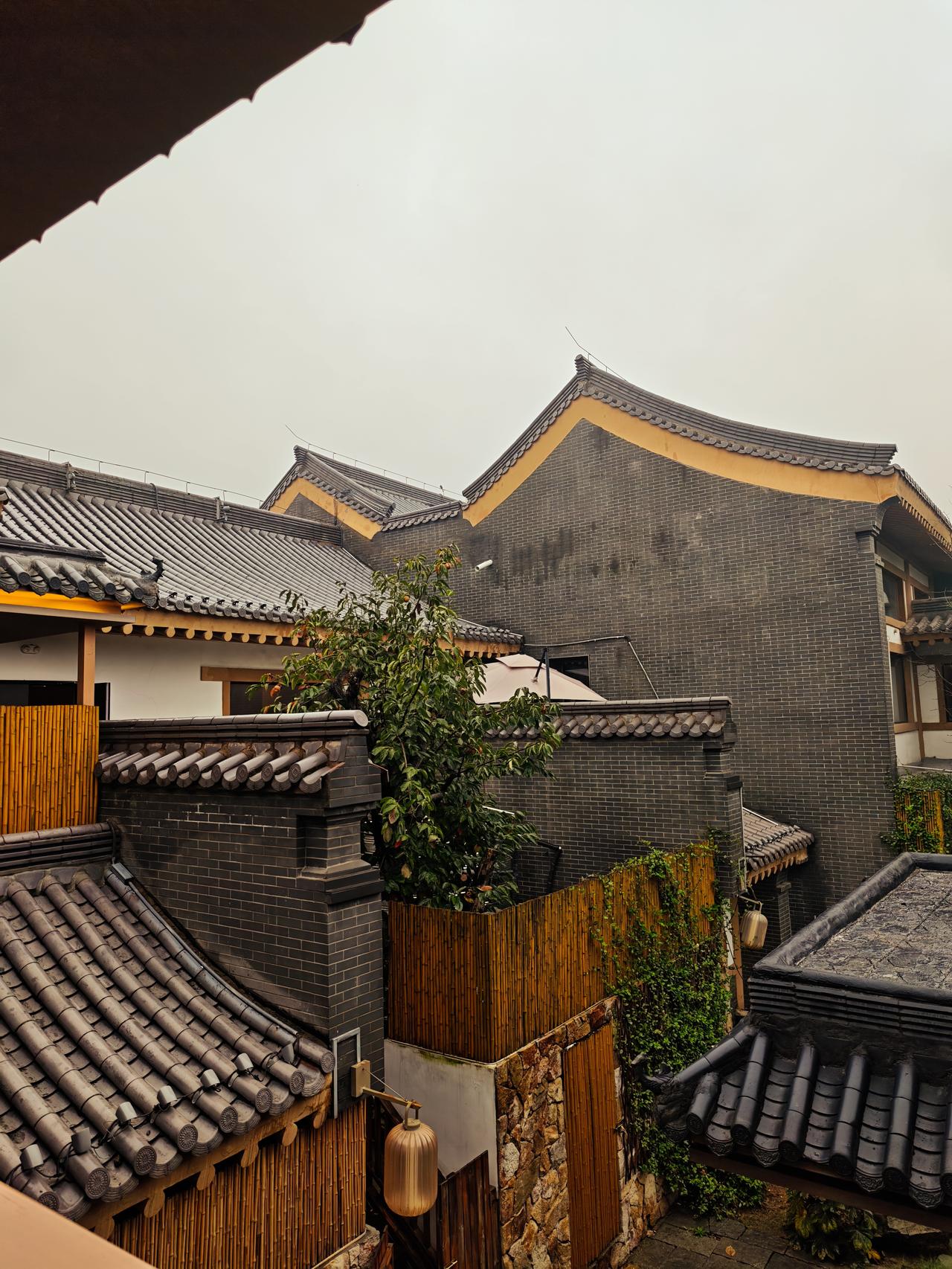 最惬意的是窝在藤编沙发里，看一池锦鲤在荷叶间悠游，荡起圈圈涟漪。宽敞的落地窗将风