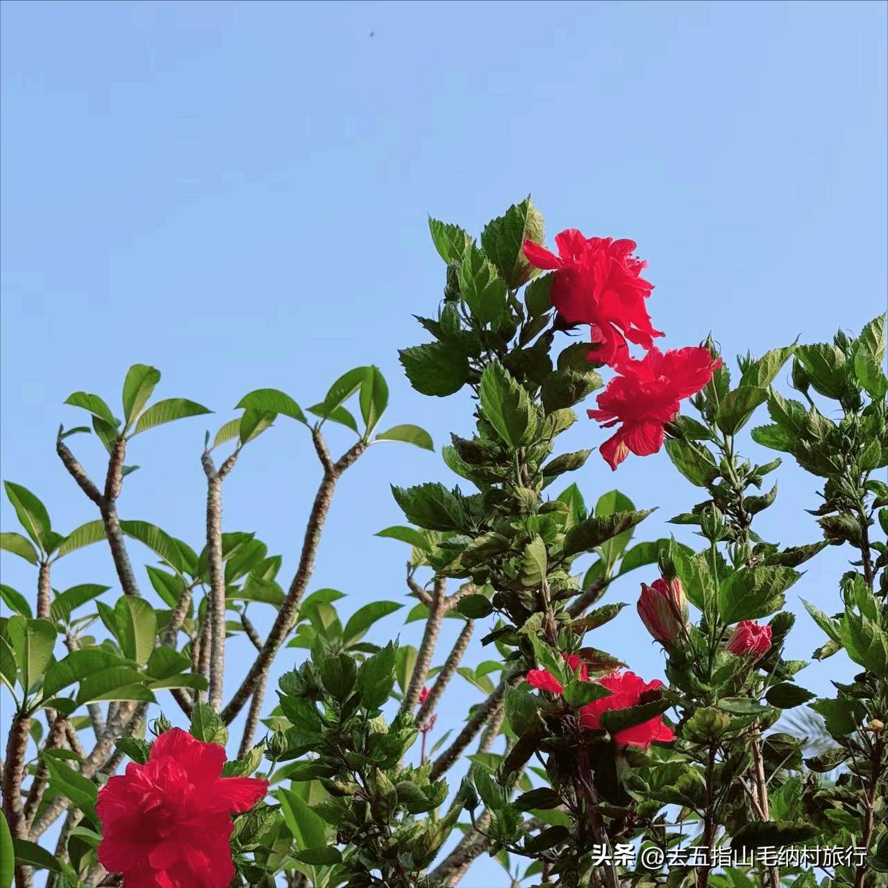 吴中区迎来新的政府主要负责同志
 
5月22日，今年52岁的谢强履新该区。
 