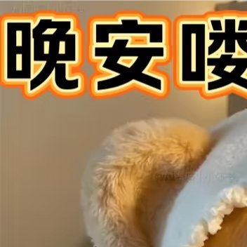 晚安[超话]🧸𝗚𝗢𝗢𝗗 𝗡𝗜𝗚𝗛𝗧 ☕️即使错过日落余晖请记