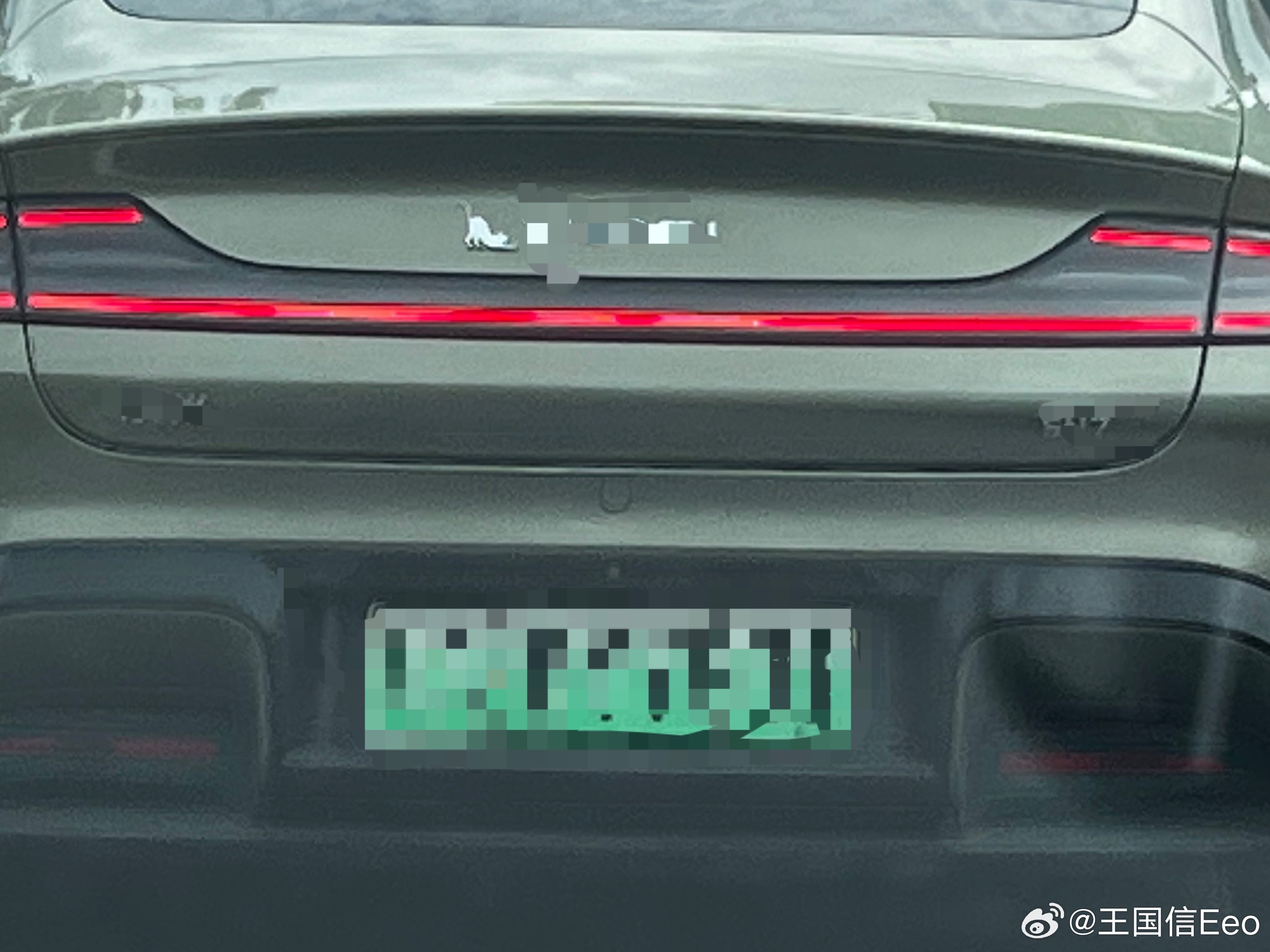 这车主有点意思。这是在车标上加了一个啥动物，第一眼还以为是🐵。我寻思，也没人自