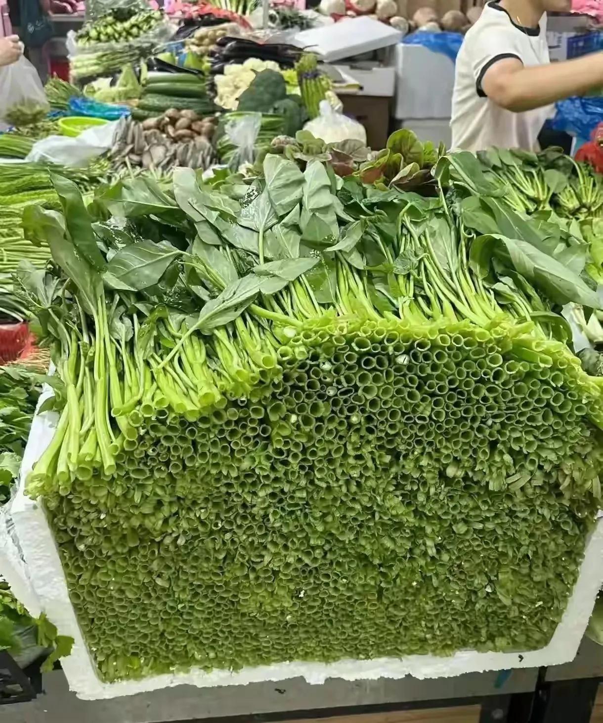 大家都来看看这种是什么菜来的？近日，河南的网友去逛街，在市场里看见了奇怪的一幕。