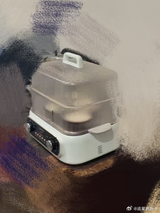 网友曝饭综后台疯狂给吕严蒸饭饭综后台最忙的居然是蒸饭锅吕严饭量太惊人！大米饭一碗