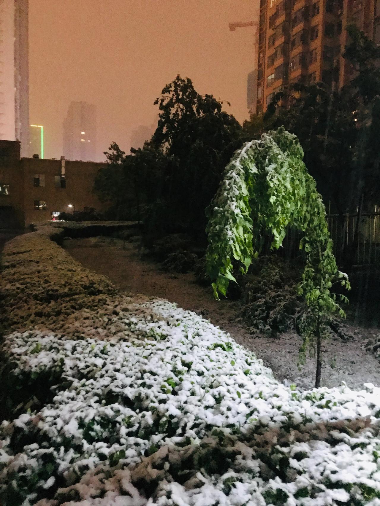 穿着段子短袖去太原避暑，结果下雪了！

这一趟旅行是山西，第三次来了！想着现在广