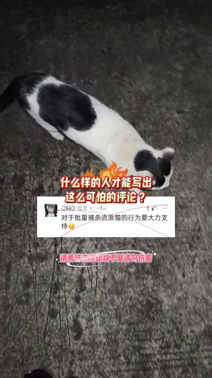 什么样的人才能写出这么可怕的评论？
对于批量捕杀流浪猫的行为要大力支持，请善待流