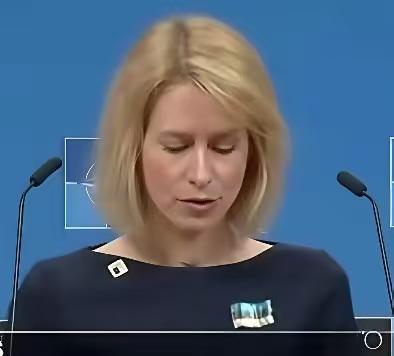 还是卡拉斯有远见，她提出在条约上，一定别忘了写上最关键的那一句，限制俄军的数量和