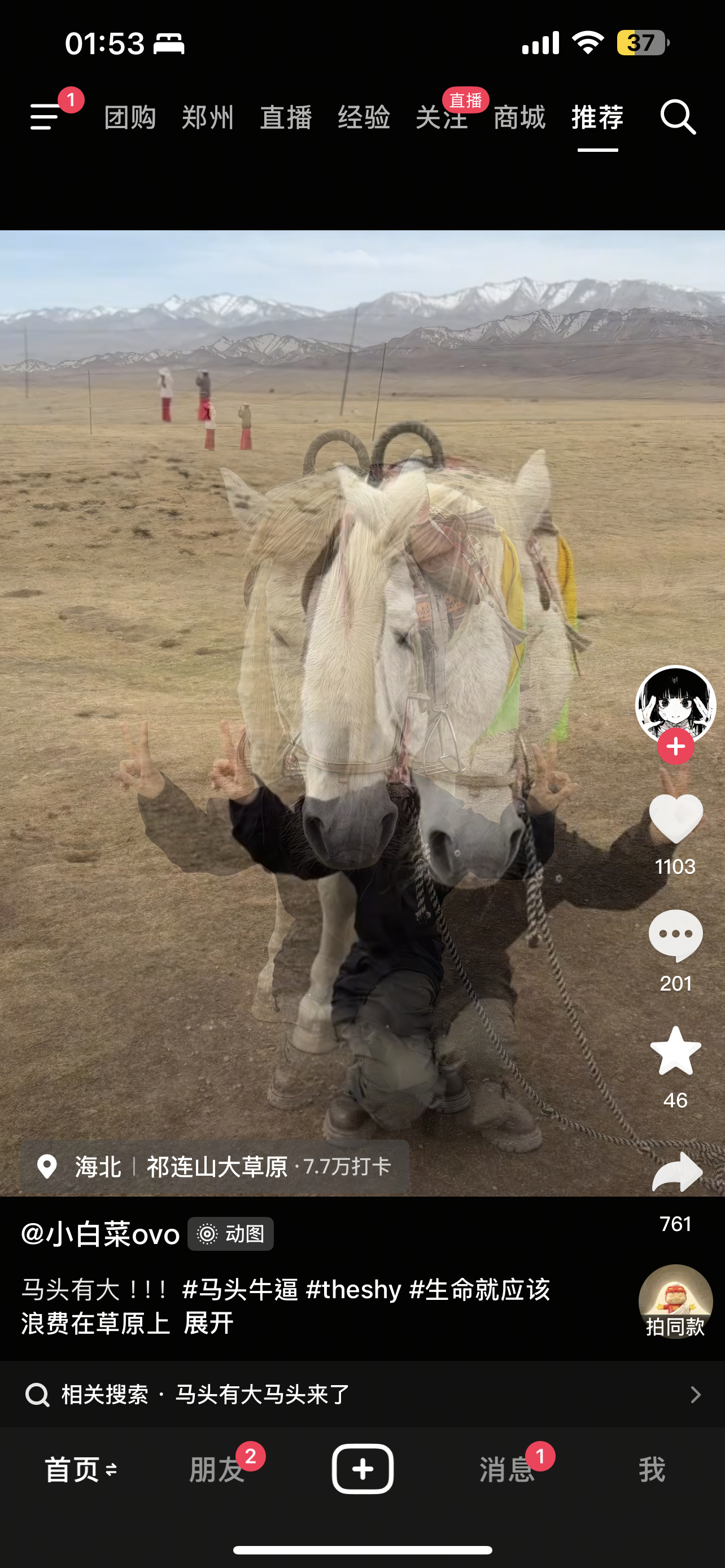 好想去找🐴拍这个抖 