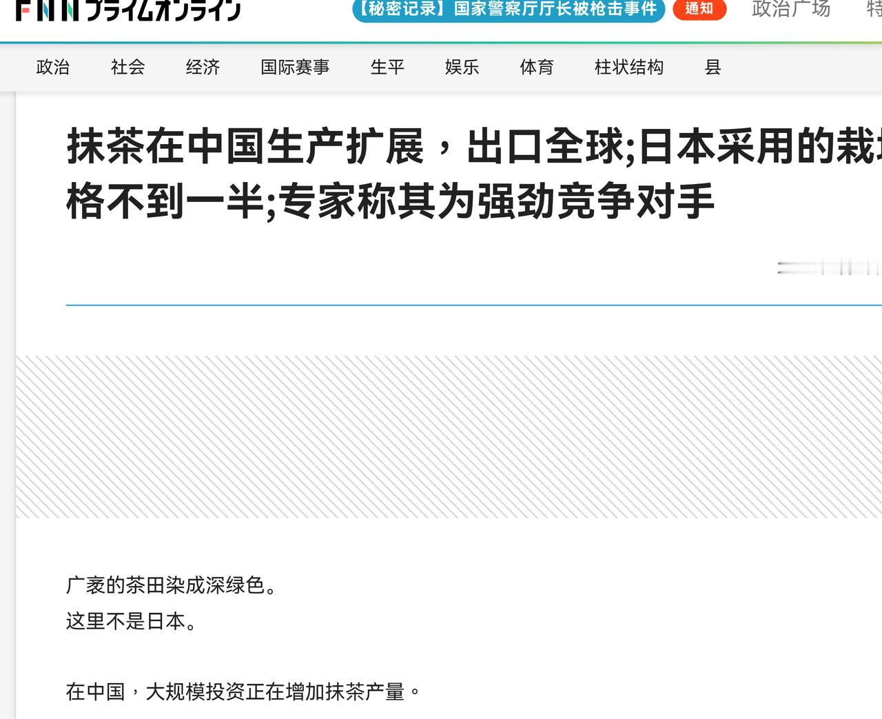 日本抹茶行业捷报频传，2024年出口增长25.88%，2025年势头强劲。单看这